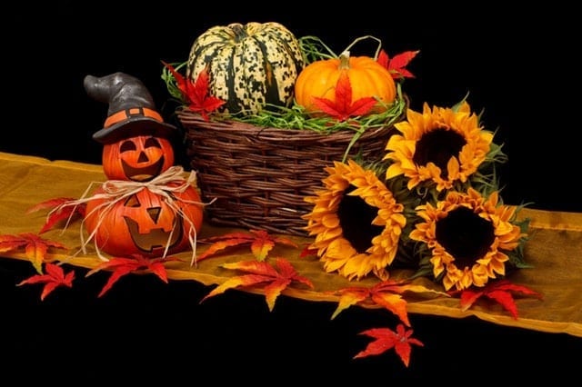 https://www.pexels.com/photo/holiday-dark-decoration-halloween-41200/