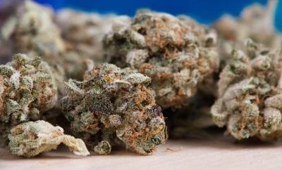 marijuana