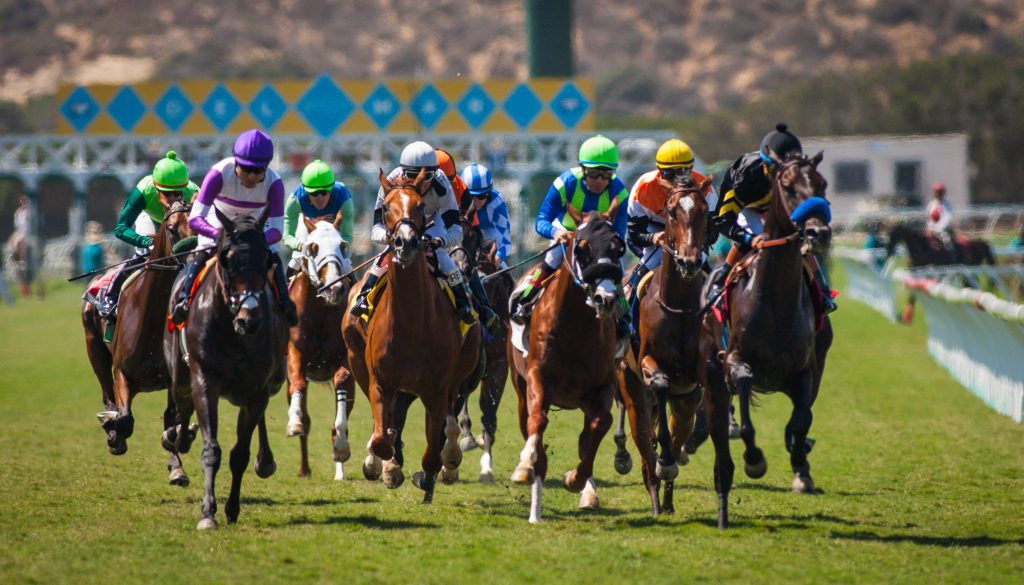 del mar horse racing