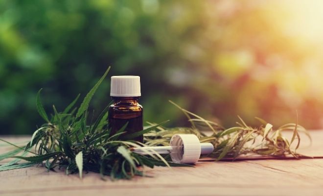 Debunking Common Misconceptions About CBD