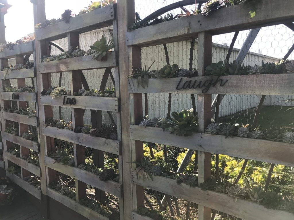 Photo Courtesy of Kristin Troutman