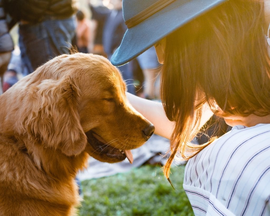 Dog Friendly Summer Events In San Diego Sd Entertainer Magazine