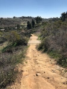 Balboa Park trails 